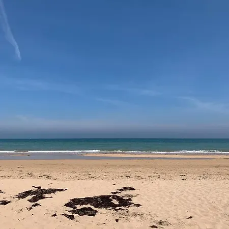 Au P'tit Tourois De Plain-pied Confort Avec Véranda Proche D'omaha Et De Bayeux Accueillant Les Animaux
